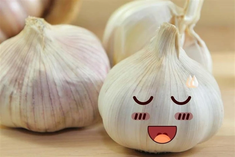 ماذا يحدث لجسمك إذا واظبت على تناول الثوم صباحا لايف ستايل 07:02 ص الجمعة 13 سبتمبر 2024 كتبت- أسماء العمدة: تناول الثوم صباحا على الريق له العديد من الفوائد الصحية المحتملة، وذلك 