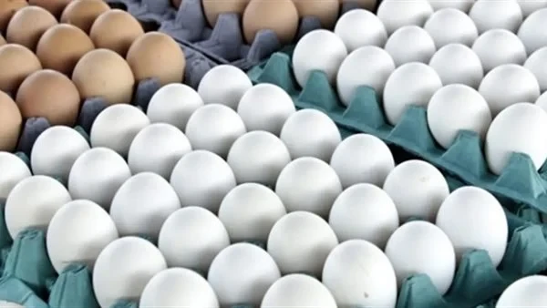 زيادة أسعار البيض تثير الجدل بعد تحويل 21 من كبار المنتجين إلى النيابة العامةالبيض , أاثار الإعلامي شريف عامر تساؤلات كثيرة حول ارتفاع الأسعار في