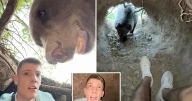 يوتيوبر يحاول التقاط صورة داخل عرين دب ويفاجأ به أمامه.. صور المرأة والمنوعات يظهر مقطع فيديو اللحظة التى وجد فيها مؤثر صربى نفسه فى عرين الدب عندما عاد الوحش الضخم إلى عرينه، وفقا