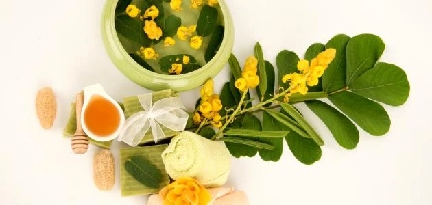 فوائد أوراق السدر للشعر.. سر العناية الطبيعية لصحة وجمال شعركأوراق السدر، التي تعرف أيضا باسم ، تعتبر من المكونات الطبيعية التقليدية المستخدمة في العناية بالشعر منذ قرون. تحتوي هذه