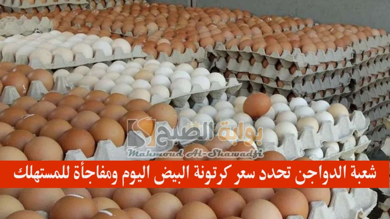 سعرها غير عادل.. شعبة الدواجن تحدد سعر كرتونة البيض اليوم ومفاجأة للمستهلكتواصل شعبة الثروة الداجنة بغرفة القاهرة التجارية مراقبة ومتابعة سعر كرتونة