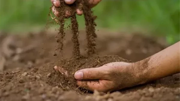 تلوث التربة يضر بالديدان والحشرات ويهدد الكائنات الحية والتنوع البيولوجيالقضايا التي نتجاهلها غالبا قد تكون هي التي تسبب أكبر قدر من الضرر لبيئتنا وأشار الدكتور بيرتون إلى أنه وسط 