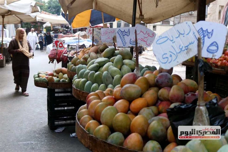 سعر العنب والموز والفاكهة بالأسواق اليوم الأحد 8 سبتمبر 2024 يبحث عدد كبير من المواطنين عن أسعار الفاكهة بالأسواق اليوم الأحد 8 سبتمبر 2024، لشراء