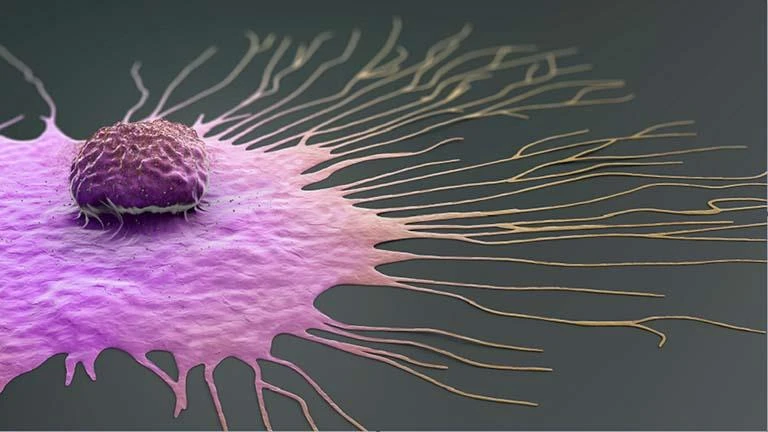 أطعمة ومشروبات شهيرة تمنع الإصابة بالسرطان لايف ستايل 10:01 م السبت 07 سبتمبر 2024 كتبت- أسماء العمدة: هل تعلم أن طبق طعامك اليومي قد يكون سلاحك