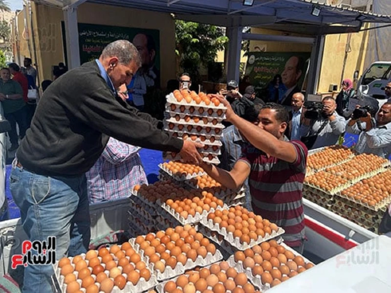 أسعار البيض مخفضة بمنافذ الزراعة والتموين قبل الدراسة بأيام شوف بكامأسعار البيض مخفضة بمنافذ الزراعة والتموين قبل الدراسة بأيام شوف بكام.. عقد كل من