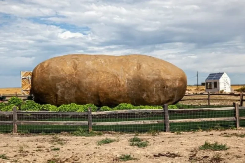 فندق على شكل حبة بطاطس عملاقة وسعر الليلة 145 إسترليني يحب الكثير من الناس البطاطس في جميع أنواع تحضيرها، سواء كانت مهروسة أو مقلية أو حتى مشوية ومسلوقة، ولكن لم يكن أحد يتصور أنه 