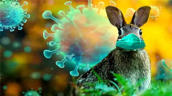 36 فيروس جديد يهدد البشر.. بعضها يأتي من الحيوانات دراسةاكتشف العلماء، مؤخرا ، عشرات الفيروسات في حيوانات مزارع الفراء الصينية.قام فريق بحثي بتسلسل المادة الوراثية من عينات الرئة و