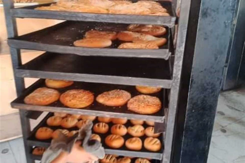 ضبط 4.5 أطنان مواد غذائية غير صالحة في حملات رقابية على أسواق الشرقية أكد المهندس حازم الأشموني، محافظ الشرقية، ضرورة تكثيف الحملات التفتيشية