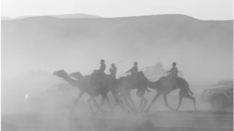 ديربي الإبل.. ابن العاصمة يوثق حكايات أشهر سباق بسيناء من بعيد، تتراءى قافلة من الإبل السريعة بصحراء سيناء في حماس وقوة، تنثر سحابة من الغبار الناعم لترسم لوحة فنية بديعة، بينما يت