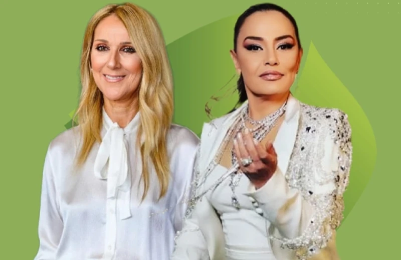 هل استنسخت سيلين ديون صورة شريهان؟ إليكم الحقيقة أعادت الفنانة الاستعراضية المصرية، شريهان، نشر صورة، قارن من خلالها مصور المشاهير المصري كريم نور،