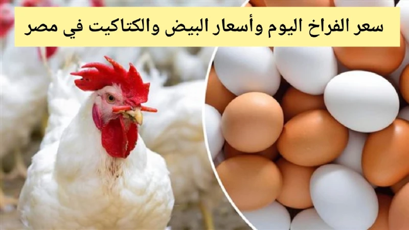 قفزة جديدة في سعر الفراخ اليوم الأحد 192024 بالأسواق وفي المزرعة وكم كرتونة البيضسعر الفراخ اليوم من الأمور التي يدور عليها البحث كثيرا مع كل صباح وذلك بالأخص من ربات البيوت والسيد