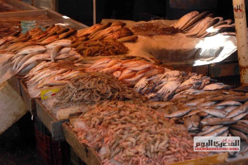 البوري ب10.. أسعار السمك والمأكولات البحرية اليوم في أسواق الإسكندرية ارتفعت أسعار السمك في الأسواق الشعبية وحلقة الأنفوشى بالإسكندرية، في بداية