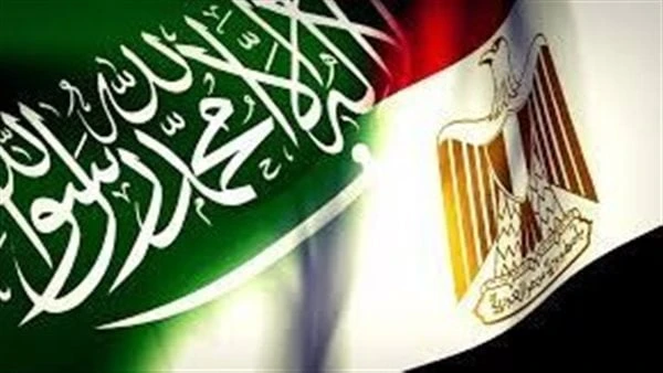 شعبة المستوردين: توجه غير مسبوق من قيادات مصر والسعودية بخلق استثمارات توسعية متكاملةأكد عماد قناوي عضو مجلس إدارة الاتحاد العام للغرف التجارية ورئيس