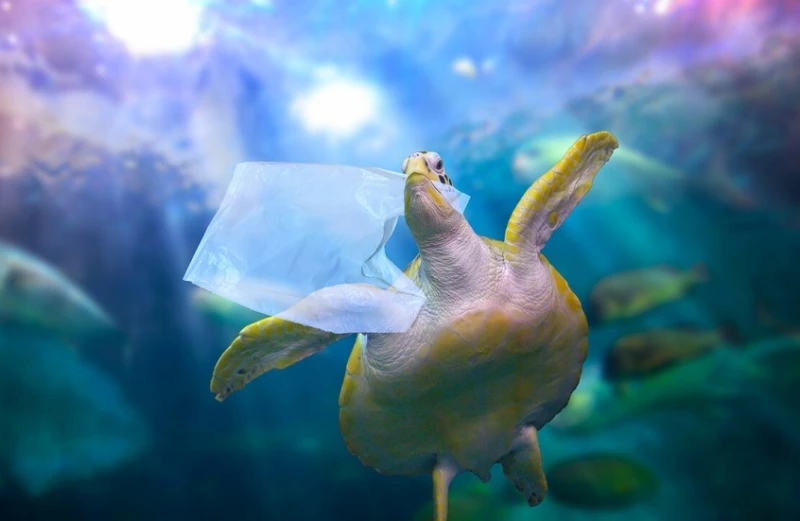 حزب الله وإسرائيل.. كرة الحرب تتدحرج حزب الله يعلن استهداف قاعدة رامات ديفيد الإسرائيلية للمرة الثانية اليوم بعشرات الصواريخ حزب الله يضرب مطار رامات ديفيد جنوب شرق حيفا بصواريخ فا