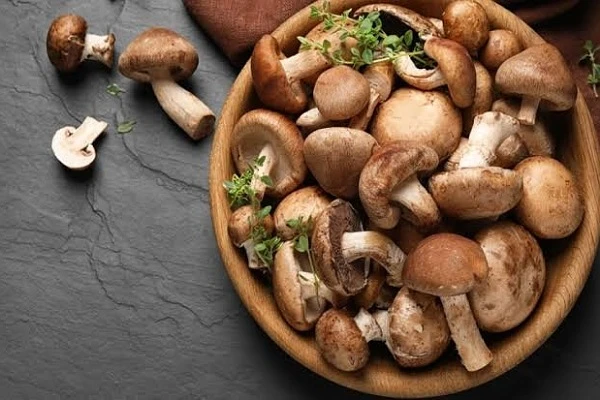 تعرف على فوائد المشروم للصحة.المشرومات هي إضافة ممتازة للنظام الغذائي نظرا لفوائدها الصحية المتعددة. إليك بعض الفوائد الهامة لعيش الغراب المشروم:1.
