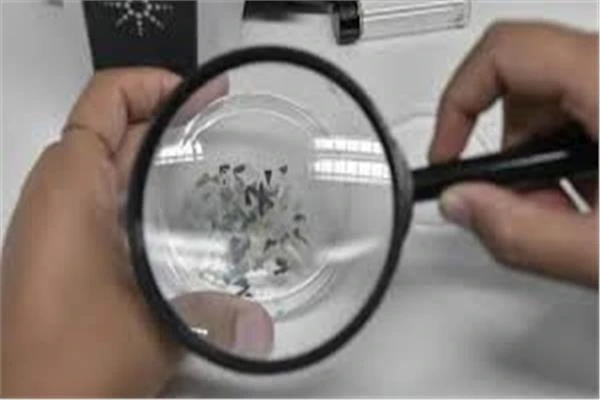 اكتشاف آلية وصول جزيئات البلاستيك إلى الدماغ وتأثيراتها المحتملة متفرقات اكتشاف آلية وصول جزيئات البلاستيك إلى الدماغ وتأثيراتها المحتملة اكتشاف آلية