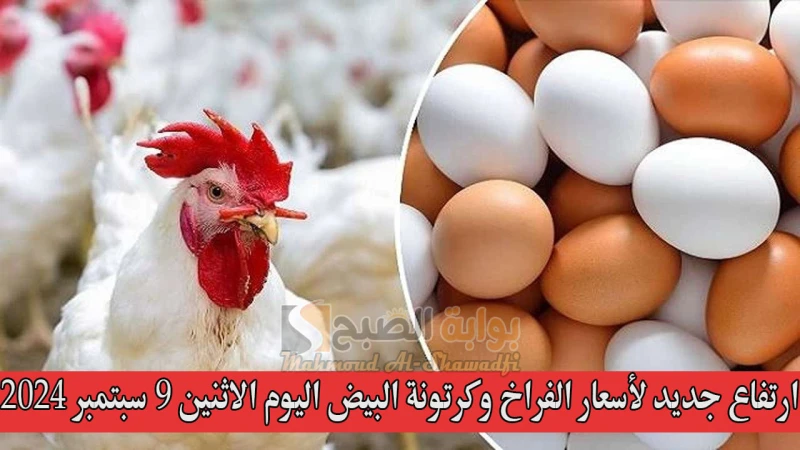 بورصة الدواجن الرئيسية.. ارتفاع جديد لأسعار الفراخ وكرتونة البيض اليوم الاثنين 9 سبتمبر 2024شهدت أسعار الفراخ في السوق المصرية اليوم ارتفاعا جديدا،