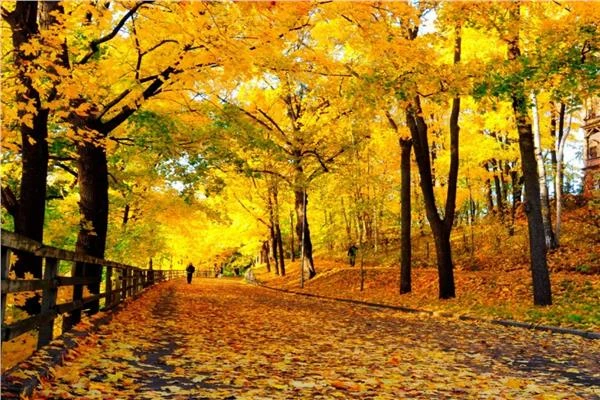 متى يبدأ فصل الخريف 2024؟ متفرقات متى يبدأ فصل الخريف 2024؟ صورة موضوعية يبدأ فصل الخريف 2024 بتغيرات ملحوظة في الطقس، حيث يشهد انخفاضا في درجات الحرارة وزيادة في الأمطار، يتناول ه