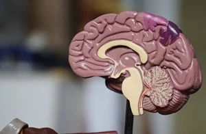 روبوتات مغناطيسية دقيقة يمكنها علاج النزيف في المخ عربي21 لايت ابتكر باحثون روبوتات نانوية يمكن استخدامها لإدارة نزيف المخ الناجم عن تمدد الأوعية الدموية، ويمكن أن يتيح هذا التطوير