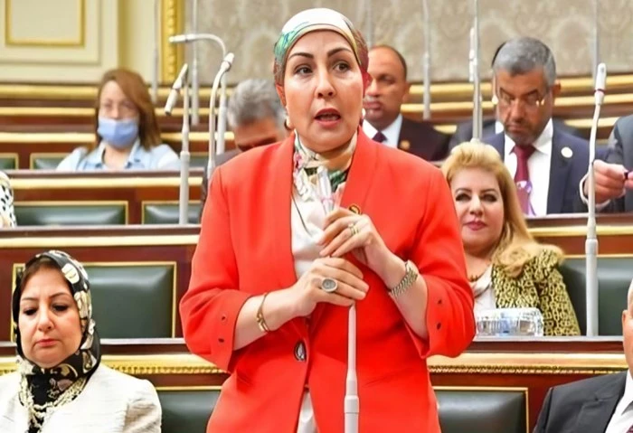 أبو السعد تسأل الوزير والخطيب عن معوقات تأسيس الشركات بهيئة الاستثمار تقدمت النائبة هالة أبو السعد بسؤال إلى كلا من نائب رئيس مجلس الوزراء للتنمية