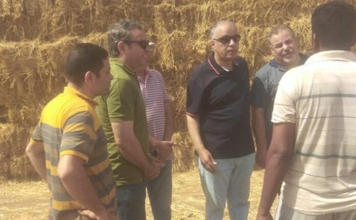 الإرشاد الزراعي: نعمل على تحقيق أهداف الدولة.. والمحافظة على البيئة والتخلص من السحابة السوداءأكد رئيس قطاع الإرشاد الزراعي بوزارة الزراعة الدكتور