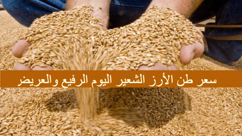 الطن وصل لكام سعر طن الأرز الشعير اليوم الثلاثاء 1092024 الرفيع والعريض في مصرفي الوقت الحالي يبحث آلاف من المواطنين عن سعر طن الأرز الشعير اليوم،