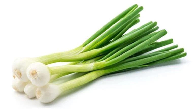 فوائد مذهلة للبصل الأخضر.. ماذا يحدث لجسمك عند تناوله؟ لايف ستايل 10:00 م السبت 14 سبتمبر 2024 كتبت- أسماء العمدة: يعتبر البصل الأخضر من الخضروات