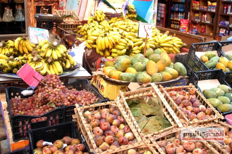التين ب40.. أسعار الفاكهة اليوم الجمعة 13 سبتمبر 2024 في أسواق الإسكندرية ارتفعت أسعار الفاكهة فى أسواق الاسكندرية، وخاصة البلح الأحمر والتين والبطيخ