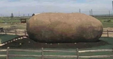 فندق على شكل حبة بطاطس عملاقة وسعر الليلة 145 إسترليني.. شاهد شكله من الداخل المرأة والمنوعات يعشق الكثير من الأشخاص البطاطس بكافة طرق تحضيرها سواء مهروسة أو مقلية أو حتى مشوية ومس