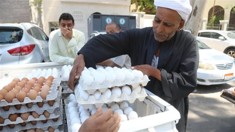 لخفض أسعار البيض تحرك عاجل من الحكومة بعد وصوله 190 جنيه والثمن الجديد مفاجأةلخفض أسعار البيض تحرك عاجل من الحكومة بعد وصوله 190 جنيه والثمن الجديد