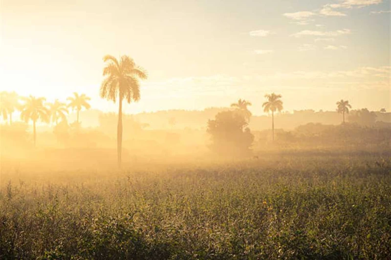 عواصف ترابية تضرب الوادي الجديد.. والمحافظة ترفع درجة الاستعداد شهدت محافظة عواصف ترابية متوسطة وانخفاض طفيف في درجات الحرارة، اليوم الأربعاء، حيث أدت العواصف الترابية إلى تكثيف حم