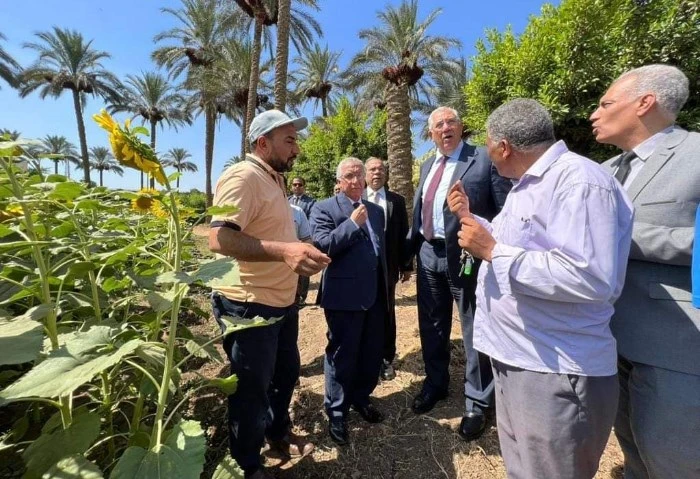 نقابة الفلاحين: الزراعة أول قطاع محلي يوفر فرص عمل للشباب كشف عادل زيدان، رئيس اللجنة الاقتصادية بنقابة الفلاحين، تفاصيل المشروعات الزراعية التي تقوم