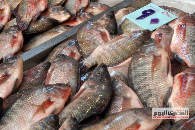 البلطي ب 80 جنيها.. قائمة أسعار السمك بسوق العبور اليوم الإثنين 23-9-2024 سجلت أسعار الأسماك ،اليوم الإثنين، ارتفاعا جديدا على مستوي جميع الاصناف ،وذلك وفقا لآخر تحديث للموقع الرسم