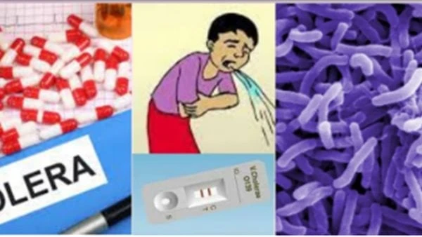 من هم الأشخاص الأكثر عرضة للإصابة بمرض الكوليرا؟.. اعرف أعراضها الكوليرا مرض إسهال حاد تسببه بكتيريا ضمة الكوليرا في الحالات الشديدة، يؤدي فقدان