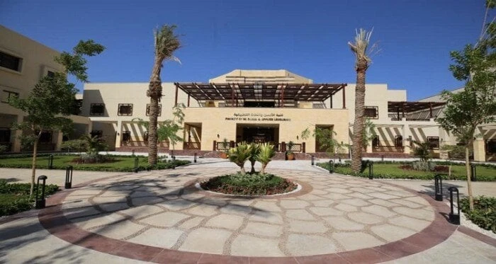 الطب من كام؟.. مصاريف جامعة الملك سلمان الدولية للعام الجامعي الحالي 2024-2025مصاريف جامعة الملك سلمان الدولية 2024.. مع اقتراب موعد بداية الدراسة بالجامعات، يبحث العديد من الطلاب