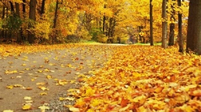 مع قرب انتهاء الصيف.. الأرصاد تعلن درجات الحرارة المتوقعة في فصل الخريفأوشك فصل الصيف على الانتهاء، وقدوم فصل الخريف، ويتسأل عدد كبير من الأشخاص عن