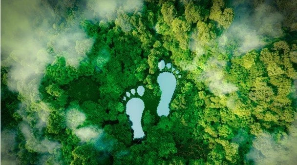 اتحاد الصناعات تطلق برنامج البصمة الكربونية لتطوير الصناعة الوطنية والارتقاء بالجودةنظمت غرفة الصناعات الغذائية باتحاد الصناعات، برنامج البصمة