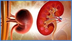 ما هي أعراض مرض الكلى المزمن صحة وجمال السوسنة تتحدث نشرة معهد العناية بصحة الأسرة (أحد معاهد مؤسسة الملك الحسين)، الإثنين، عن أعراض مرض الكلى المزمن، والعلامات والأعراض المحتملة ل