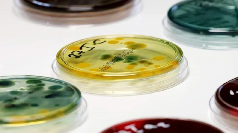 حزب الله وإسرائيل.. كرة الحرب تتدحرج حزب الله يعلن استهداف قاعدة رامات ديفيد الإسرائيلية للمرة الثانية اليوم بعشرات الصواريخ حزب الله يضرب مطار رامات ديفيد جنوب شرق حيفا بصواريخ فا