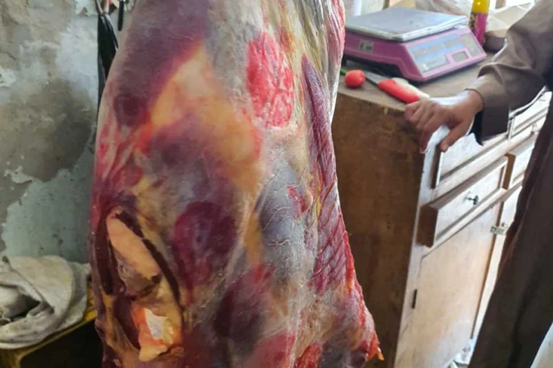 حملة بيطرية موسعة لضبط المخالفين في كفر الشيخ شنت مديرية الطب البيطري بكفر الشيخ حملة موسعة على الأسواق لمتابعة المخالفين واتخاذ الإجراءات القانونية