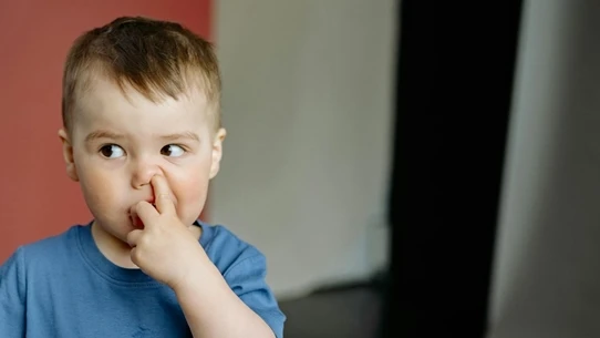 توقف حالا.. إدخال إصبعك في أنفك قد يسبب لك هذا المرض عربي21 لايت إذا كنت ممن يفضل تنظيف أنفه بالطريقة الشهير عبر إدخال إصبعك في أنفك، فعليك إعادة النظر بالأمر لأنه قد يسبب لك مشاكل