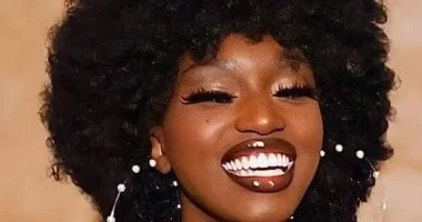 لو بتحبى ستايل الشعر الأفريقى.. 6 تسريحات قديمة رجعت من جديد المرأة والمنوعات تسريحات الشعر الأفريقى من أشهر تسريحات الشعر التى تعطى مظهرا مميزا