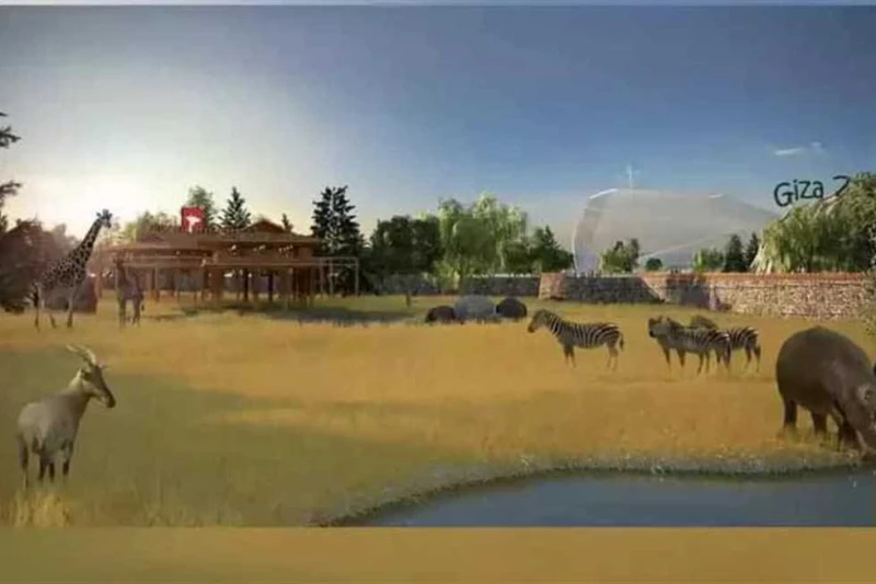 الأفريقي لحدائق الحيوان يستعرض استعدادات مصر لافتتاح حديقة الجيزة 2025توجه التحالف المصري لتطوير حديقة الحيوان، اليوم الإثنين، إلى جوهانسبرج بدولة