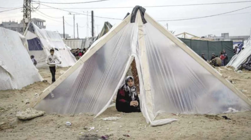 العدوان الثلاثي.. ليلى ضحية المرض والحرب والفوط الصحية تحت وطأة الحرب والنزوح وتداعياته القاسية، عانت الشابة الفلسطينية ليلى حيموري في خيمتها بمدينة