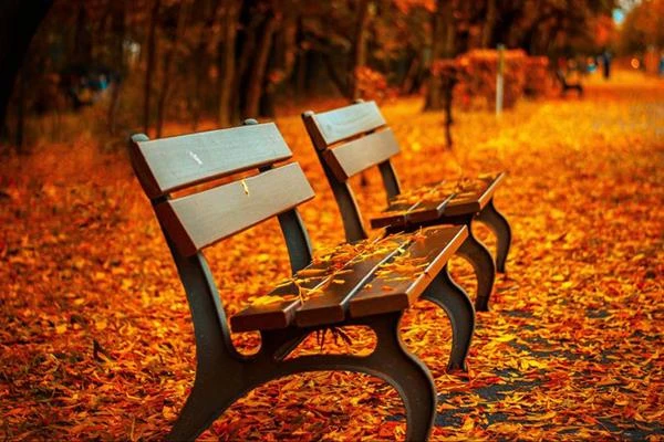 تأثير بداية فصل الخريف على الشعور بالاكتئاب وطرق التغلب عليه متفرقات تأثير بداية فصل الخريف على الشعور بالاكتئاب وطرق التغلب عليه فصل الخريف - صورة