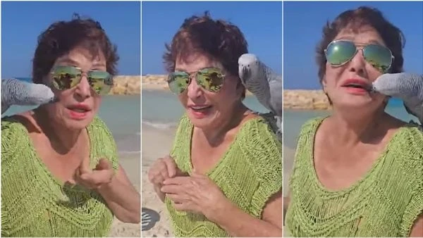 ع اللي جرى.. بغبغان يقبل لبلبة على الشاطئ ظهرت الفنانة لبلبة، في مقطع فيديو قصير تم تداوله عبر مواقع التواصل الاجتماعي، خلال عطلتها الصيفية لعام