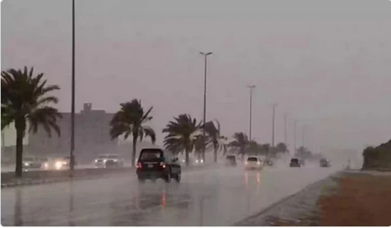 المرور السعودي يحذر من 5 سلوكيات خاطئة عند القيادة خلال هطول الأمطارجددت الإدارة العامة للمرور بالمملكة العربية السعودية تحذيراتها لجميع قائدي