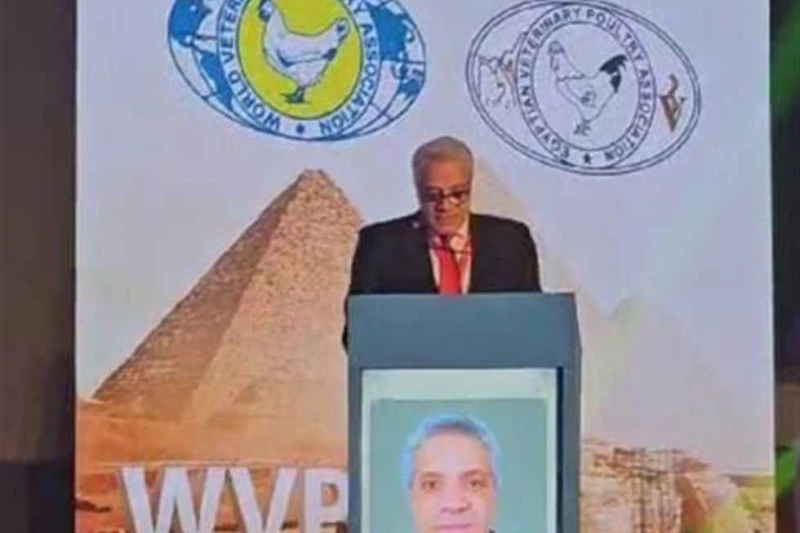 رئيس الخدمات البيطرية: 100 مليار جنيه استثمارات صناعة الدواجن لإنتاج 1.3 مليار طائر سنويا قال الدكتور ممتاز شاهين رئيس الهيئة العامة للخدمات البيطرية إن صناعة الدواجن تمثل ركيزة أس