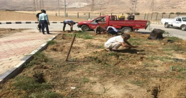 استمرار تنفيذ أعمال تشجير وزراعة شتلات بمركز أبوتيج بأسيوط أسيوط سيد زعزوع أكد اللواء دكتور هشام أبوالنصر محافظ أسيوط على ضرورة تكثيف التوعية بأهمية البيئة والمحافظة على الأشجار ال