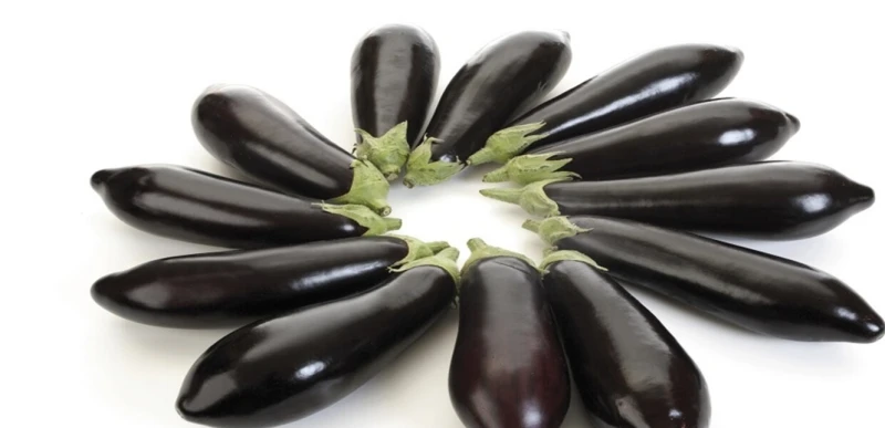 الخصائص المفيدة للباذنجان صحة أوضحت الدكتورة يلينا سولوماتينا خبيرة التغذية الروسية، أهمية إضافة الباذنجان إلى النظام الغذائي.ووفقا لها، الباذنجان،